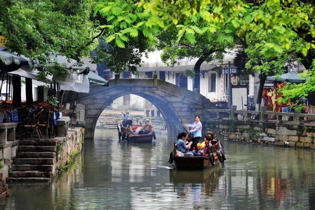 吃什么植物，动物，可以健胃？游戏画面